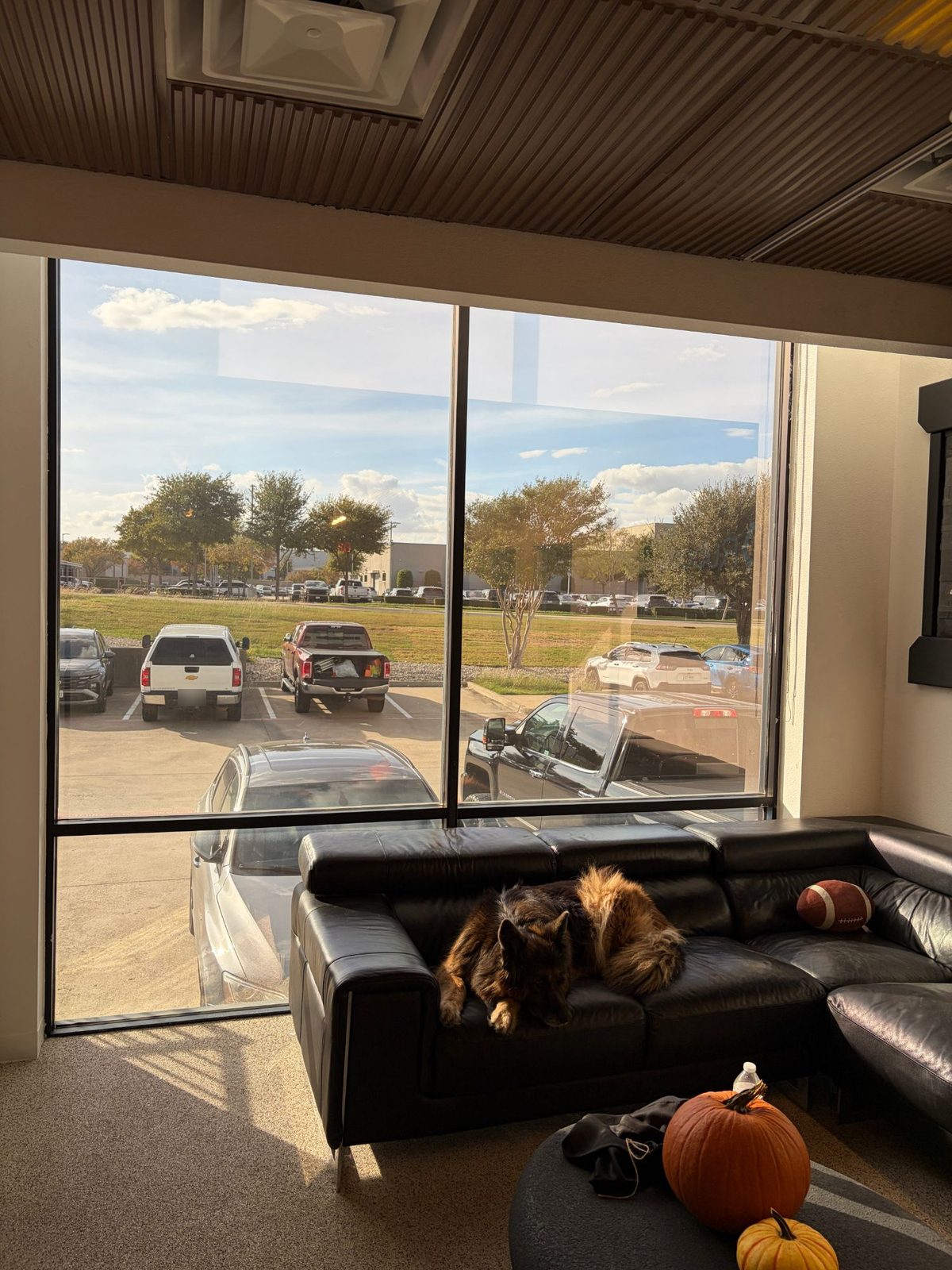 Office lounge with solar film on floor-to-ceiling windows