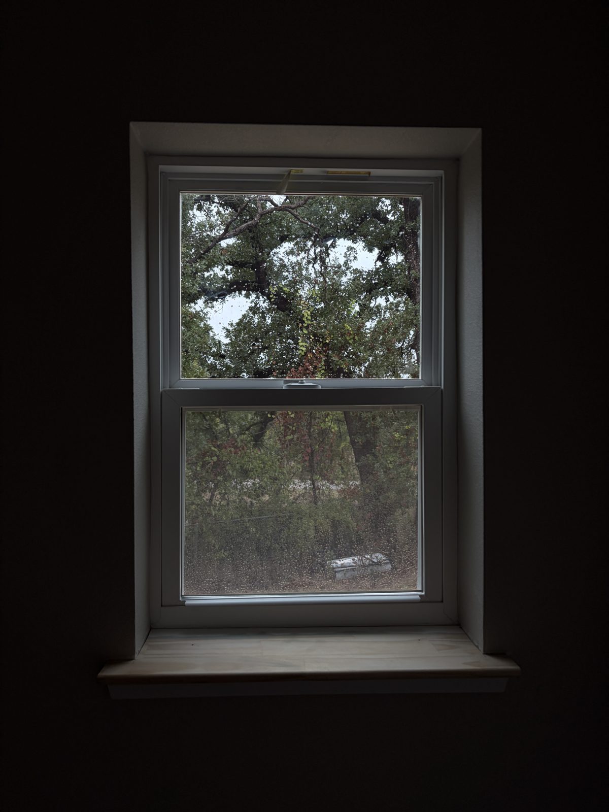 Single-hung window after residential tint