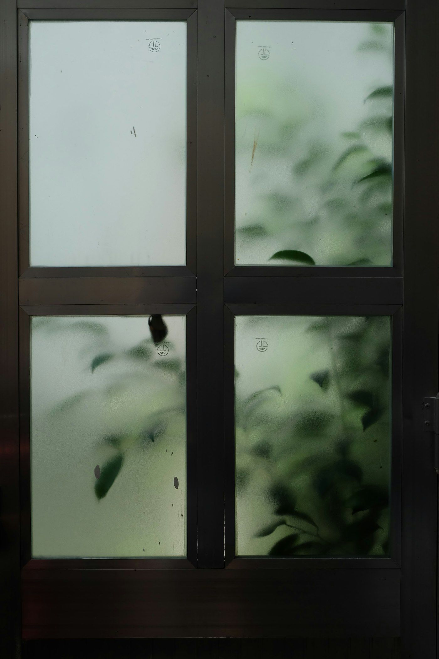Frosted glass door